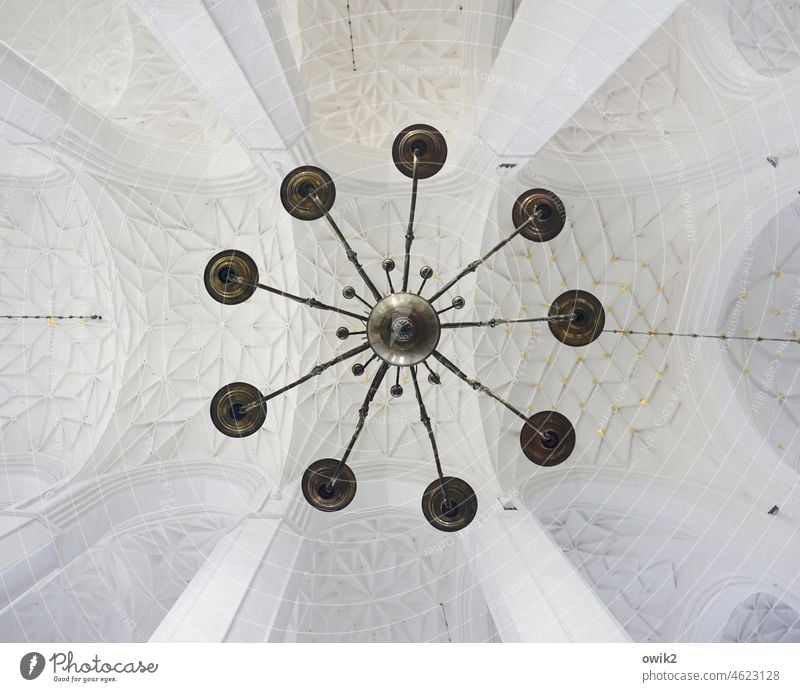 top Vault Vaulted arch Tall Above Interior shot Large House of worship Room Manmade structures Old Nave Architecture symmetric Spirituality religion
