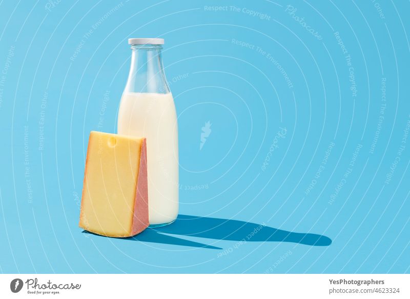 Milk and cheese on blue table. Swiss cheese and bottle of milk background beverage breakfast bright calcium clean close-up color cow cuisine cut out dairy
