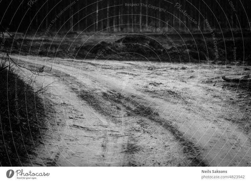 bend of dirt road black and white abstract background beautiful bike blurred cross cross country dark design forest gray healthy highway jogger landscape light