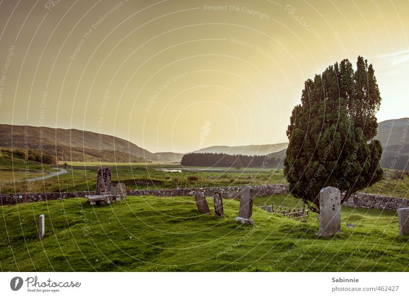[Skye 15] Clearance Villages Environment Nature Landscape Elements Sun Climate Beautiful weather Plant Tree Hill Isle of Skye Scotland Deserted Old Cemetery