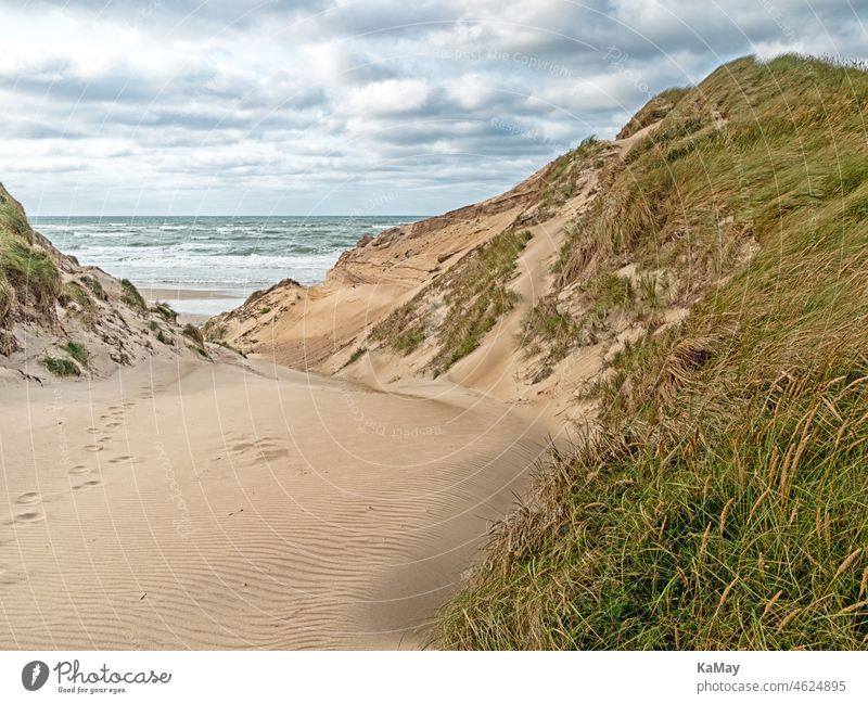 Beach access in the dunes at the Danish North Sea coast in Jutland near Nørre Vorupør Ocean Landscape Sand vacation holidays travel destination off cloudy ocean