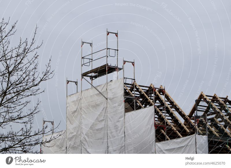 Scaffolding with cladding on a building with wooden roof trusses Construction site Building Wood Sky Gray cloudy Tree peril Backup Deserted Exterior shot