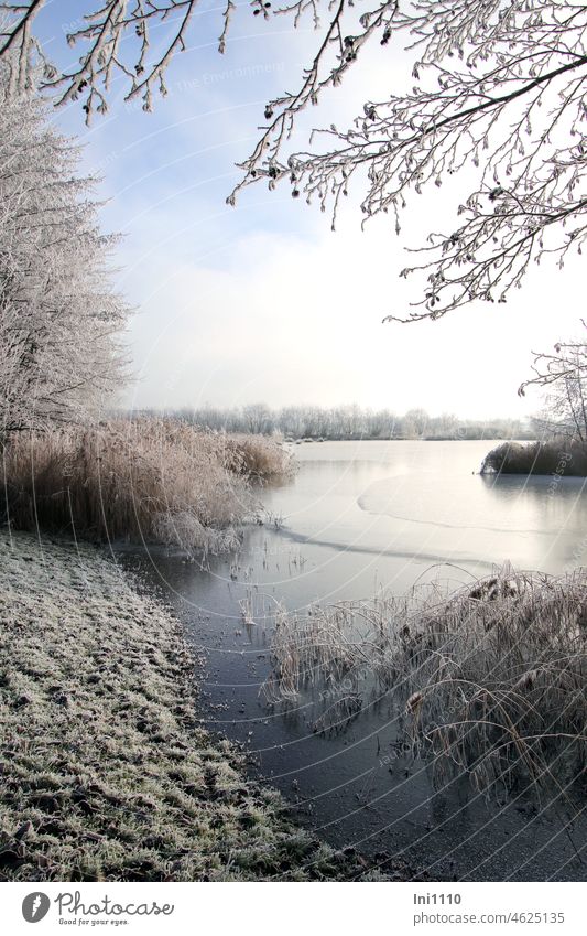 Winter atmosphere with hoarfrost on small lake Nature Landscape Winter dream Frost Beautiful weather chill Moody Thunderstorm enchanted landscape Lake