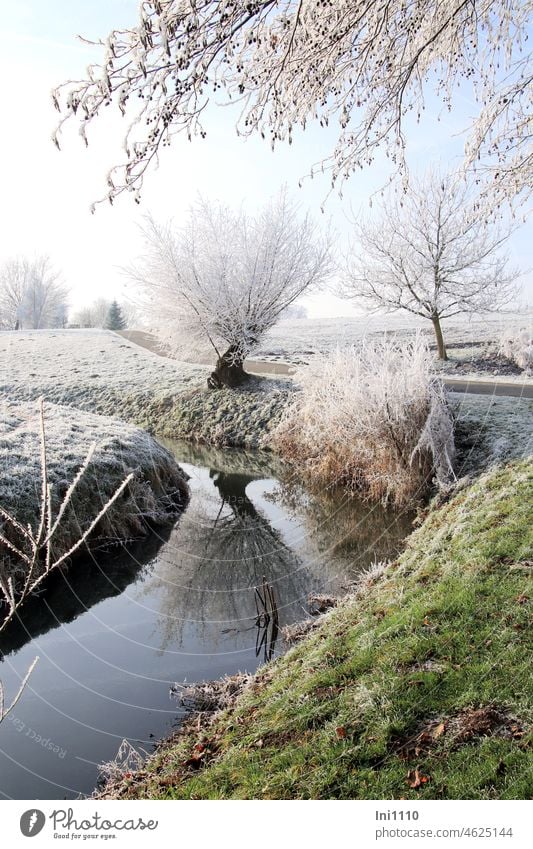 Winter dream pollard willow reflected in the hare Nature Landscape Beautiful weather Moody Thunderstorm enchanted landscape Hoar frost Hoarfrost in the morning