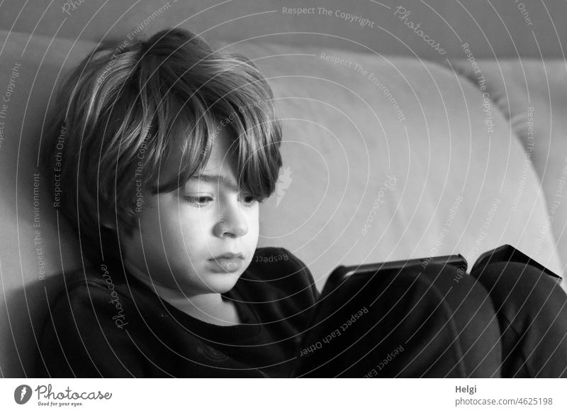 Boy sits on the sofa and looks intently at the tablet Child Boy (child) Schoolchild Sofa Sit concentrated Media media consumption Interior shot Infancy
