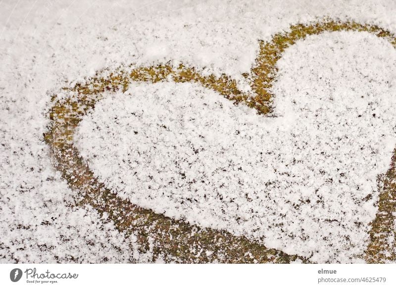 on a light snowy tree trunk is painted a heart / love / winter Heart Winter Love Declaration of love Snow sweetheart festival of love Tree trunk Seasons Wood