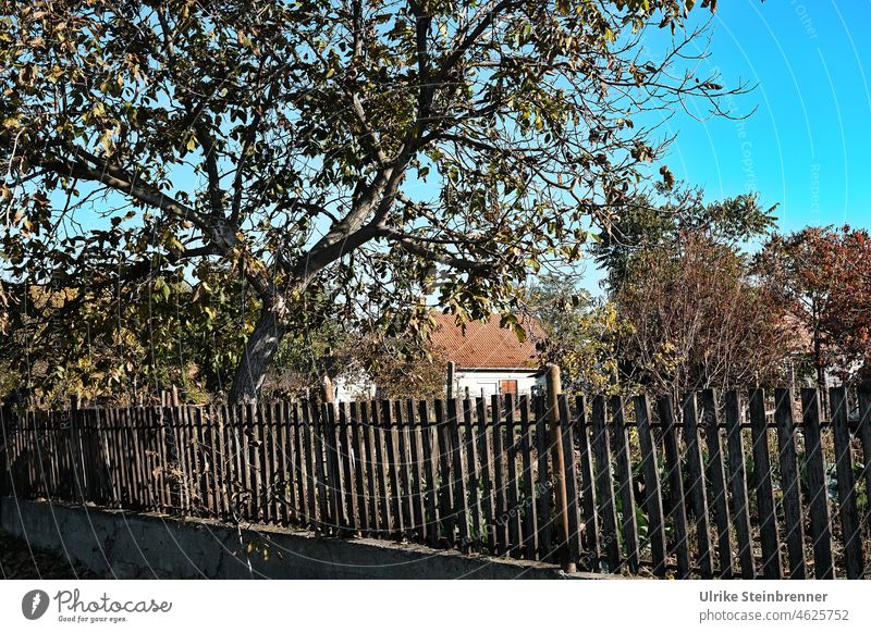 Picket fence in front of farmhouse in Hungary lattice fence Fence slats Wooden fence Farm farmstead Tree Idyll National Park Kiskunság National Park naturally