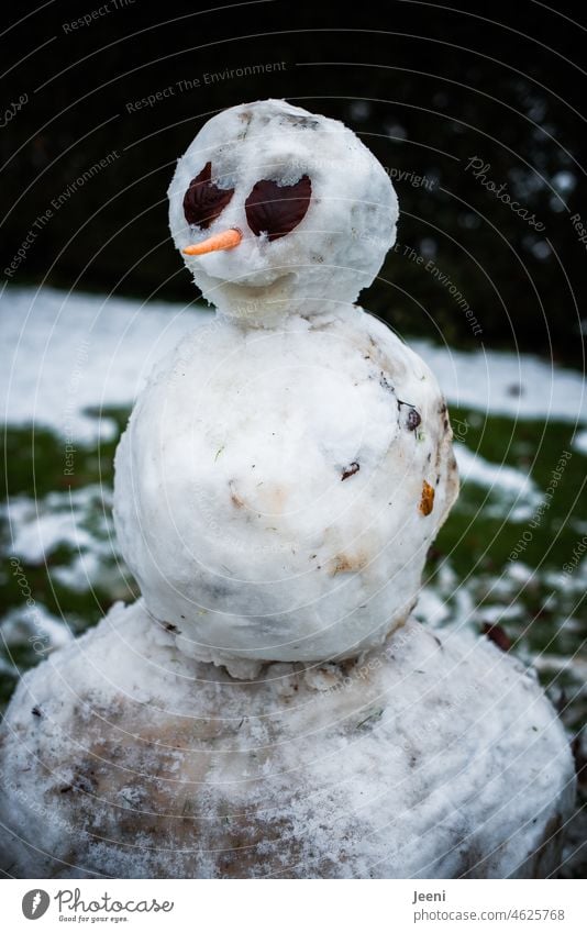 Purity law | Big snowman assembled from the little snow Snowman Winter Cold White Frost Carrot Joy Playing Infancy Child Smiling Leaf Self-made Build Seasons