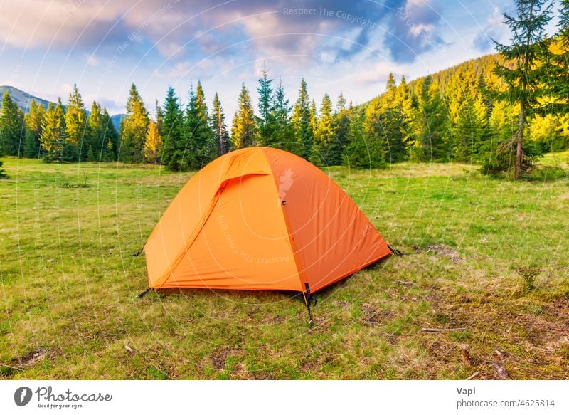 Orange tent camp in green forest nature beautiful tree orange hiking campsite camping yellow travel landscape mountain pine summer evening grass park autumn sun