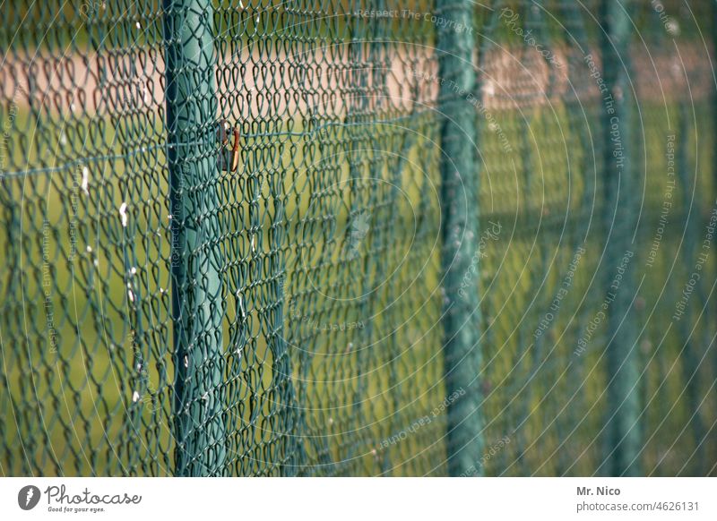 wire mesh fence Wire netting fence Fence Border Protection Fenced in No trespassing Barrier Safety close-knit Wire fence Willow tree Private Real estate