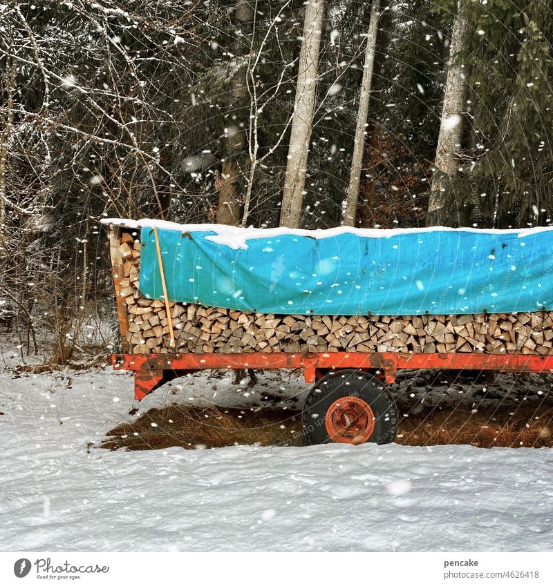 sei bereit Holz Wald Anhänger Plane Brennholz bereit stehen Vorrat Wagen Traktor Winter Schneefall Schneeflocken Natur Energie Transport