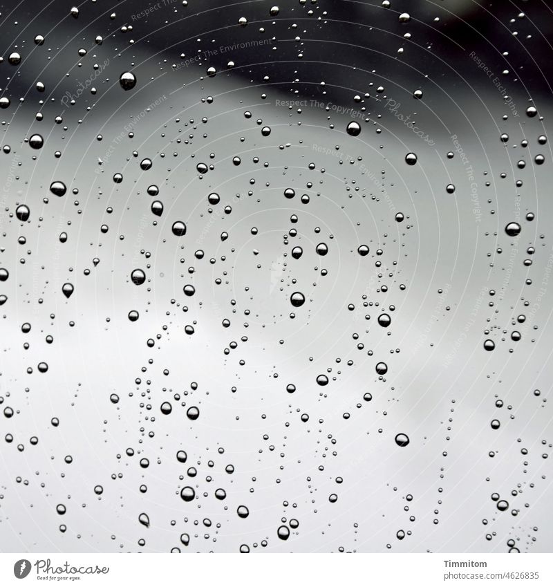 Rain, beautiful... raindrops Water Drop Weather Pane Window Drops of water Close-up Black & white photo background Deserted Glittering