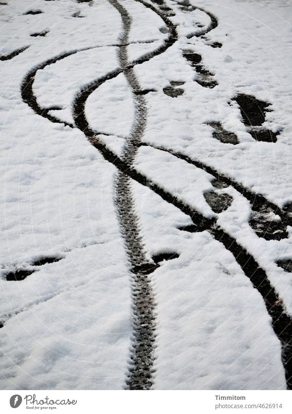 Tracks in the snow Snow Winter Cold Lanes & trails footprints Pedestrian Skid marks Tire tread Exterior shot Footprint Movement lines White Black Colour photo
