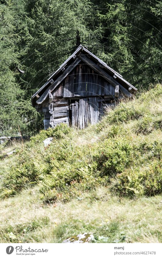 Small hut on the mountain pasture. Wooden and weathered, small and without a heart on the door. Nevertheless, it is an outhouse. Hut Old Loneliness Cliche