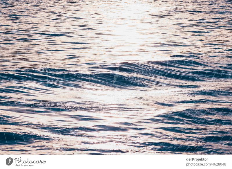 Waves on shore during sunset in Azores VII Central perspective Deep depth of field Sunlight Reflection Contrast Shadow Copy Space middle Copy Space bottom