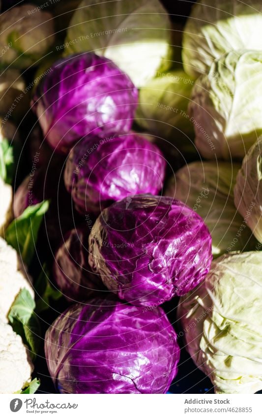 Assorted cabbage in local market stack red vegetable bazaar food stall raw healthy food organic various color pile vitamin whole gastronomy ingredient many