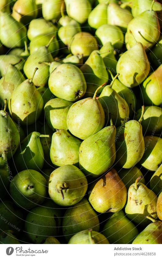 Heap of ripe green pears fruit stack market bazaar food stall healthy food background vitamin organic various color pile whole gastronomy ingredient many local