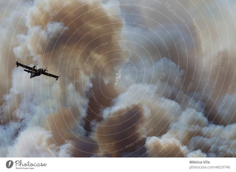 A Canadair CL-215 firefighting plane in the clouds of a forest fire silouette canadair cl-215