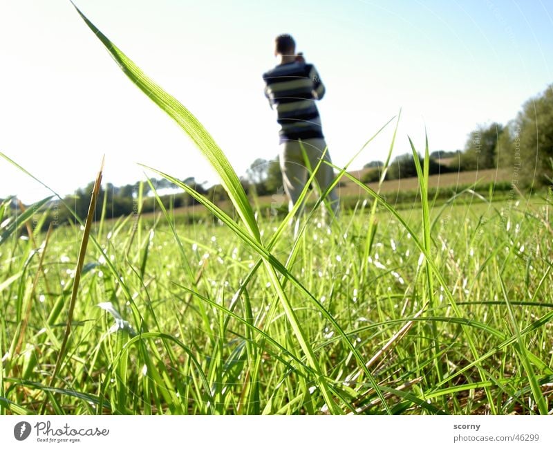 Photo tour in the countryside Grass Foreground Photographer Youth (Young adults) Background picture Worm's-eye view Photography Exterior shot Bright Nature