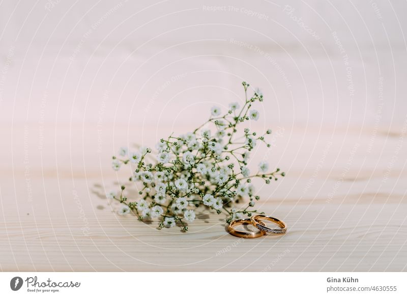 Wedding rings detail Flower Bouquet Wedding band uniformity Single flower Gold get married jewel Love love affair Close-up Nature Plant Ring Jewellery Gemstone