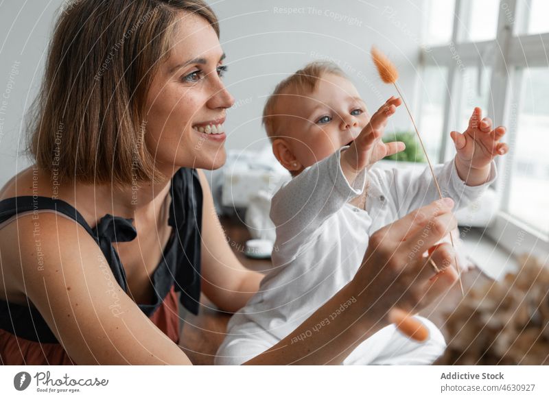Mother showing dry plant to baby mother playful motherhood babyhood childcare home twig domestic love maternal bonding window cute adorable innocent room little