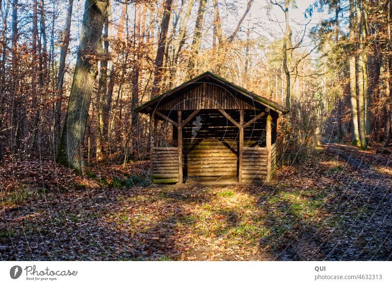 Small hut in the forest Hut Wooden hut forest hut Building cot Wooden house windowless wooden beams Wood construction logs House (Residential Structure) Open