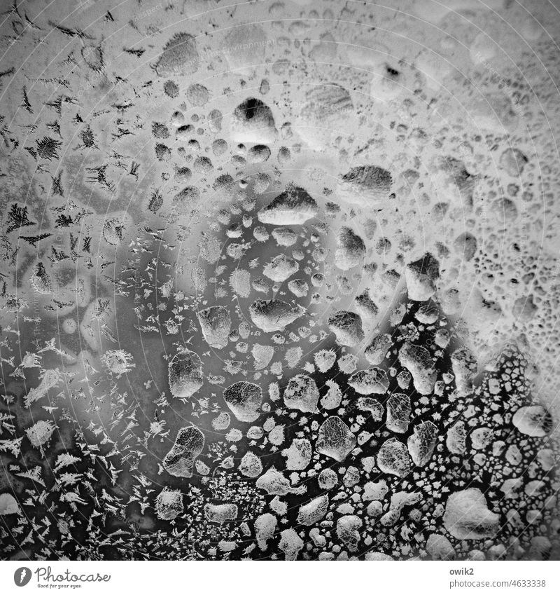 Glacial drift Drops of water Many Idyll Window pane Black & white photo Pattern Interior shot Abstract naturally Small Cold Freeze Glass Frost Ice Weather