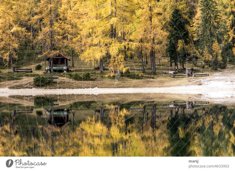 Golden autumn at the Ahornsee. Fishing hut, benches and tables, even a boat are reflected in the mountain lake. Lake maple lake Nature Mountain lake