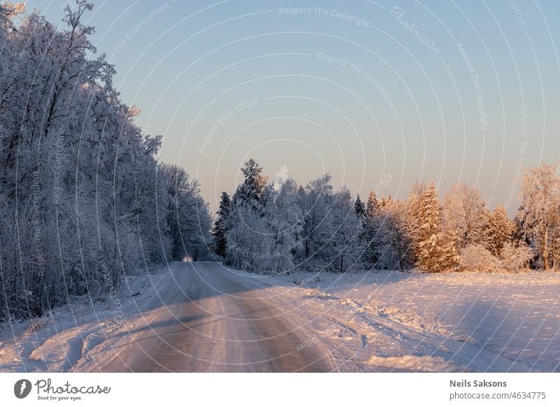 cold winter morning, slippery country road, frost covered forest trees sky beach sun landscape sunrise water nature clouds horizon highway travel sand