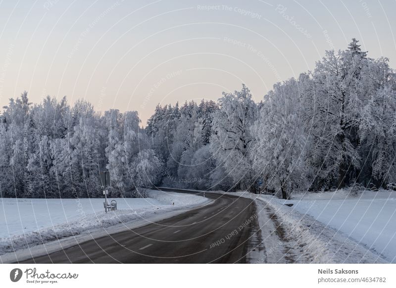 winding road, frost covered trees in forest, morning sunrise on way home amazing asphalt background beautiful beauty blue calm chilly cold country day freeze