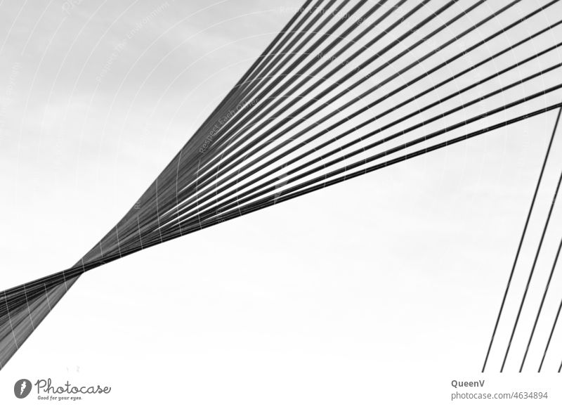 Ropes of a bridge Geometry Black & white photo Steel cables Structures and shapes Line Pattern Architecture Manmade structures Design Modern Minimalistic