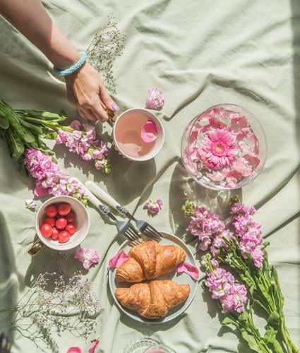 Romantic summer picnic. Woman hand holding floral tea on light blanket with croissants, cherries and flowers. . Top view. romantic cherry blossom tea woman pale