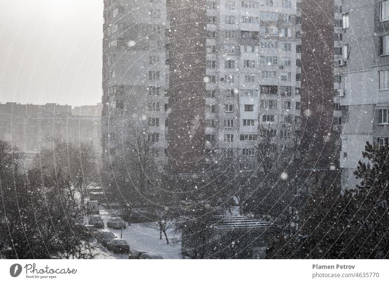 Snowfall in the city. Snowstorm on the background of residential buildings. abstract apartment architectural architecture backdrop balkans blizzard capital