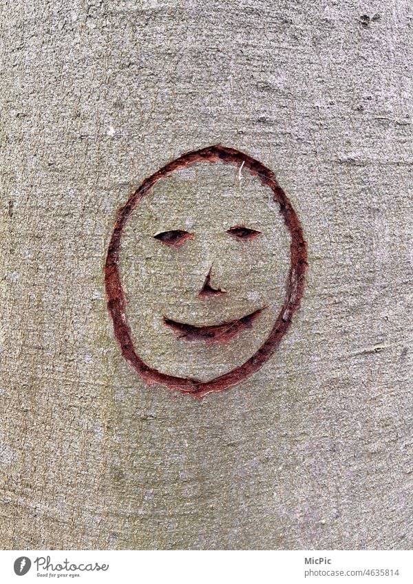 "Smile" face carved in tree Tree bark Carving Face Laughter Good mood Smiling Stick figure Point Point Comma Line moon face painting children Love Nature
