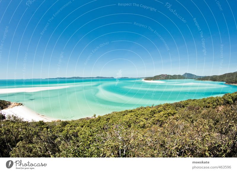 Whitsunday Island - Whitehaven Beach Sky Cloudless sky Horizon Summer Beautiful weather Bay Ocean Pacific Ocean Caribbean Sea Pacific beach Blue Turquoise