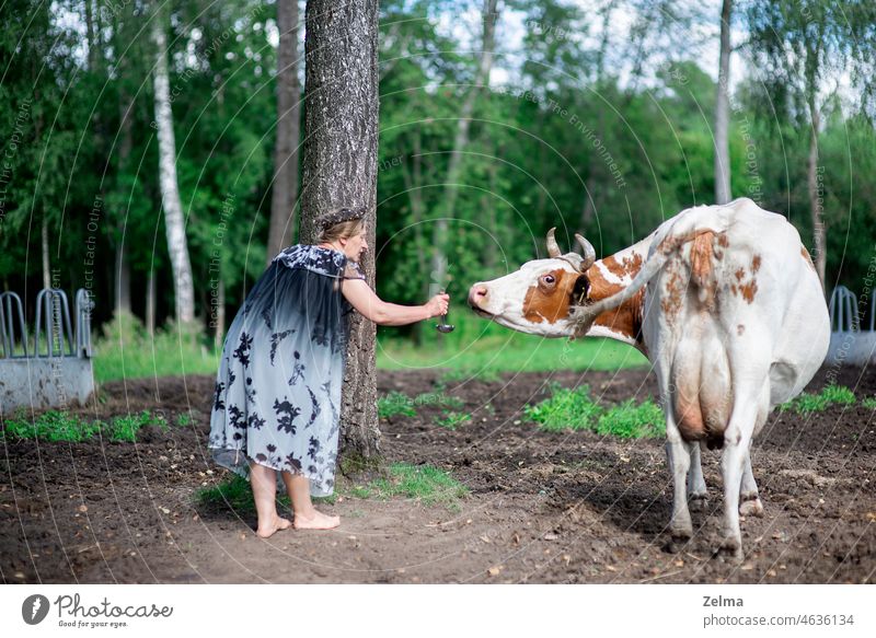 Landscape with woman and cow Woman female Cow Animal Farm Farmer Dress Feeding bare foot Pasture Funny people moment Cattle Cattle breeding neat White Brown