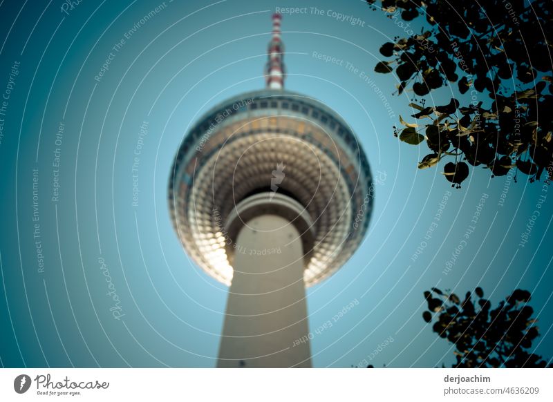 Der Große Turm mit Blättern im blauen Himmel.von unten , in voller Pracht. himmel menschenleer tourismus architektur hauptstadt Architektur berlin city platz