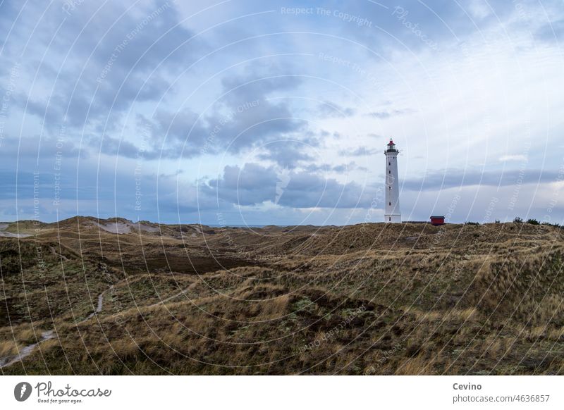 Lighthouse in a dune landscape duene dunes Blue sky Marram grass blue sky with clouds Grass Far-off places Orientation navigation signs Navigation