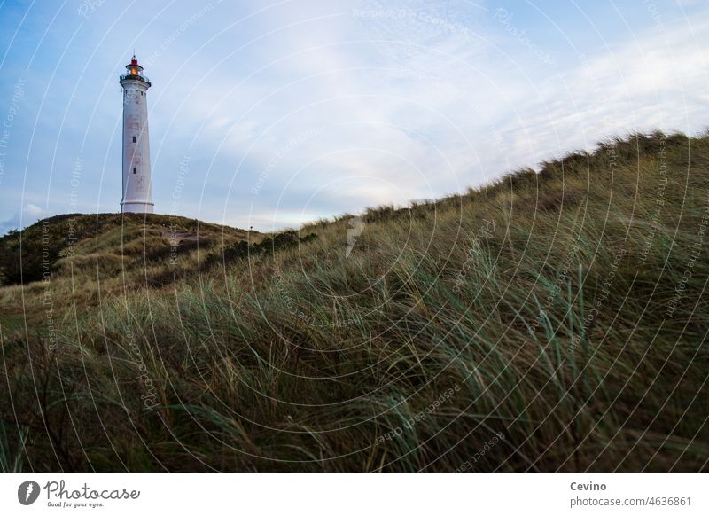 Lighthouse in dune landscape duene dunes Blue sky Marram grass blue sky with clouds Grass Far-off places Orientation navigation signs Navigation