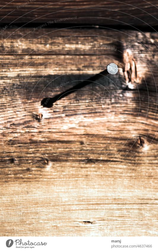 Head thing. Patterned nail head. Although, from the shadow on old, worn wood, you can only see that it is a nail. Nail Steel Wood Dark Shadow Unwavering Brown