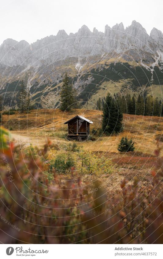Old wooden house in mountains nature cabin landscape slope fog autumn austria tree travel ridge mist countryside weather haze peaceful picturesque season calm