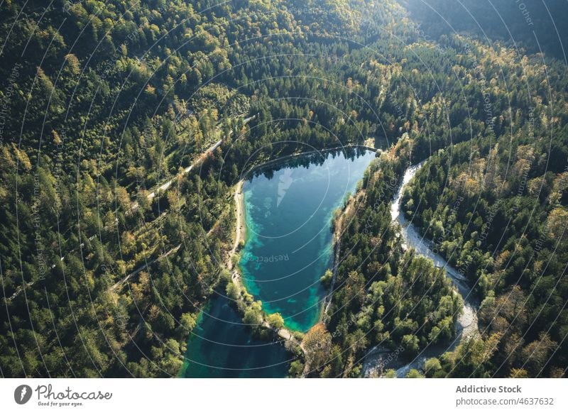Calm lake surrounded by forest nature mountain summer tree austria salzburg landscape travel coniferous lakeside turquoise water sun green peaceful area tourism