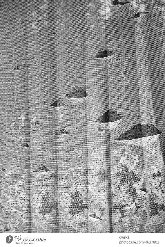 hole pattern Curtain Old Window Damage Black & white photo Ravages of time lost places Broken Gloomy Structures and shapes Detail Decline Screening defective
