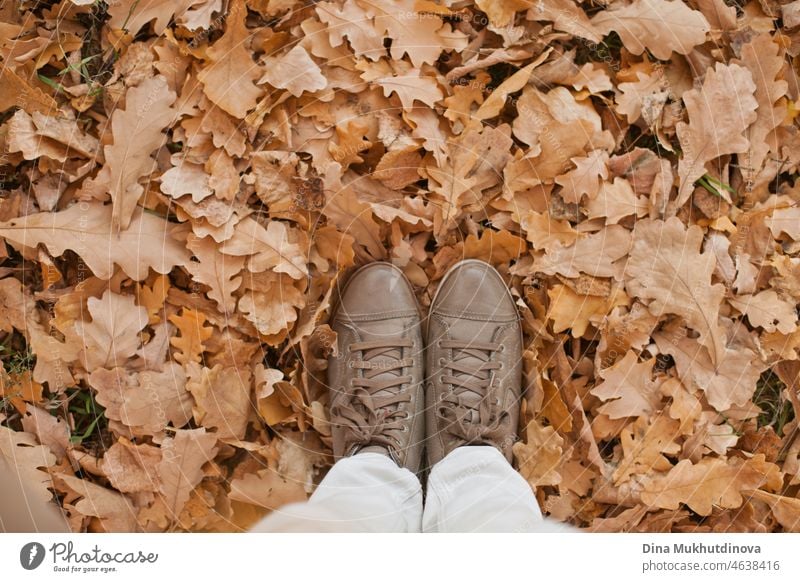 female legs in autumn shoes on oak beige autumn leaves in park. Conceptual image of legs in shoes on autumn leaves. Feet shoes walking in nature. Hipster Boots