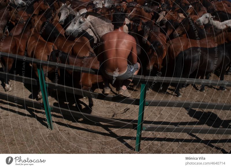A boy waits to enter to hold wild horses in the rapa das bestas de Amil aloitador aloitadores pelo coleta young bare back galicia tradition livestock culture