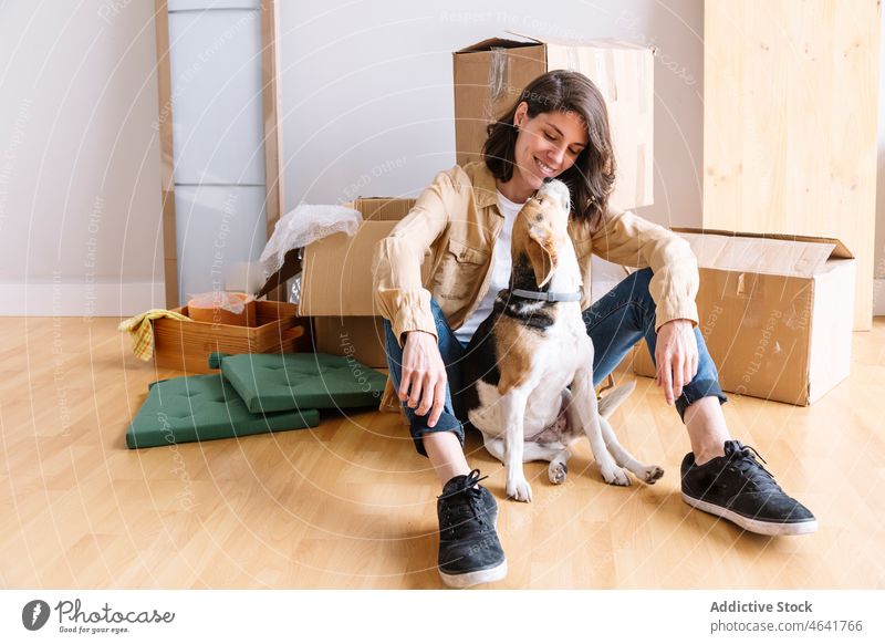 Cheerful woman with dog near carton boxes relocate smile home belonging beagle pet owner female move in together domestic happy apartment new curious floor sit