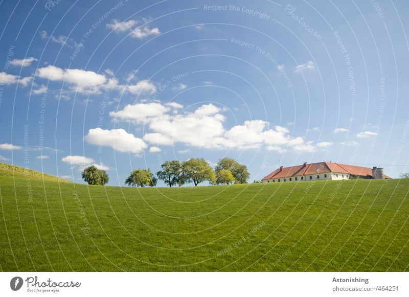 farm Environment Nature Landscape Plant Sky Clouds Horizon Summer Weather Beautiful weather Warmth Tree Grass Leaf Meadow Hill House (Residential Structure)
