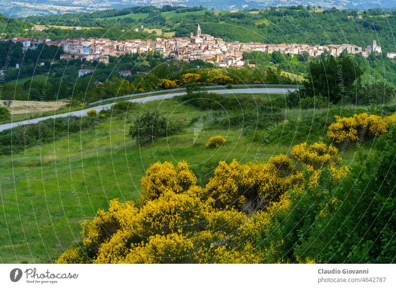 Landscape in Molise near Macchiagodena and Frosolone. View of Sant Elena Sannita Europe Isernia Italy June Sannio color day field flower green hill landscape