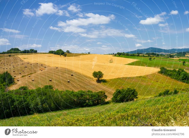 Country landscape in Apulia, Italy country Puglia June rural hill sunny nature