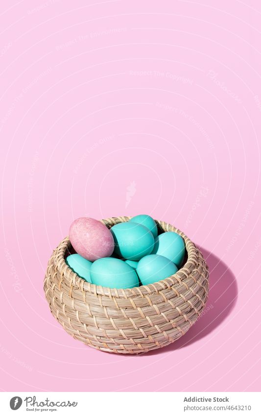 Wicker basket with blue eggs and a single pink one on a pink background food wicker isolated easter chicken nature breakfast group protein shell decoration